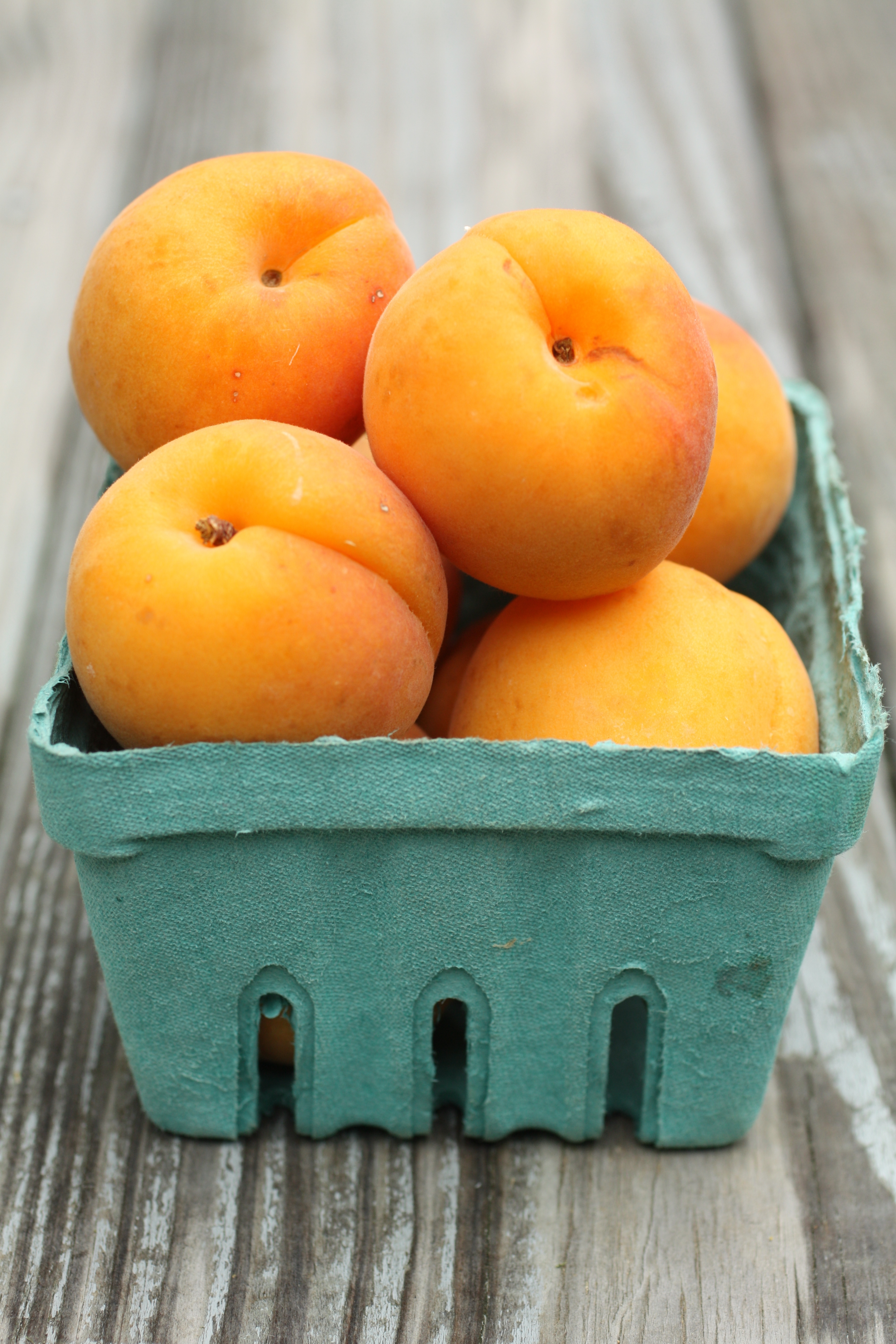 Apricot Cake Gloriously Delicious