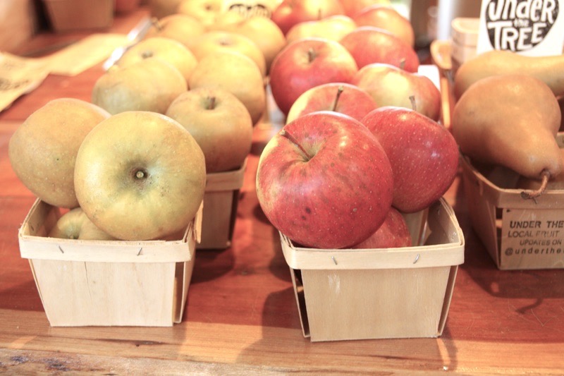 Apples