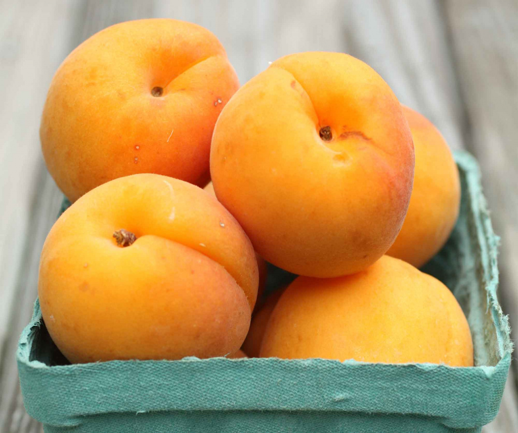 Apricots Summer Season