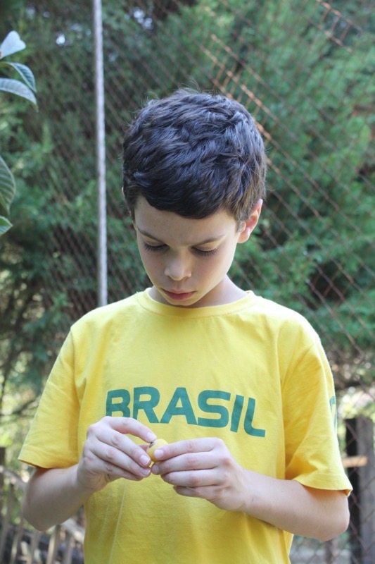 nespera brazilian fruit