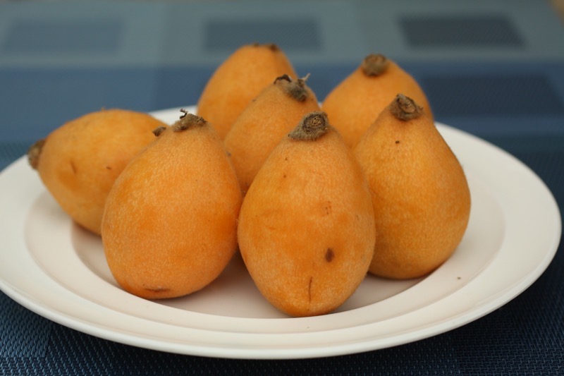 Nespera Velvety Brazilian Fruit