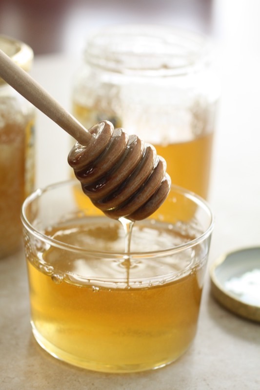 Honey bees Making Honey