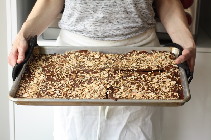 Chocolate Covered Matzoh Bark