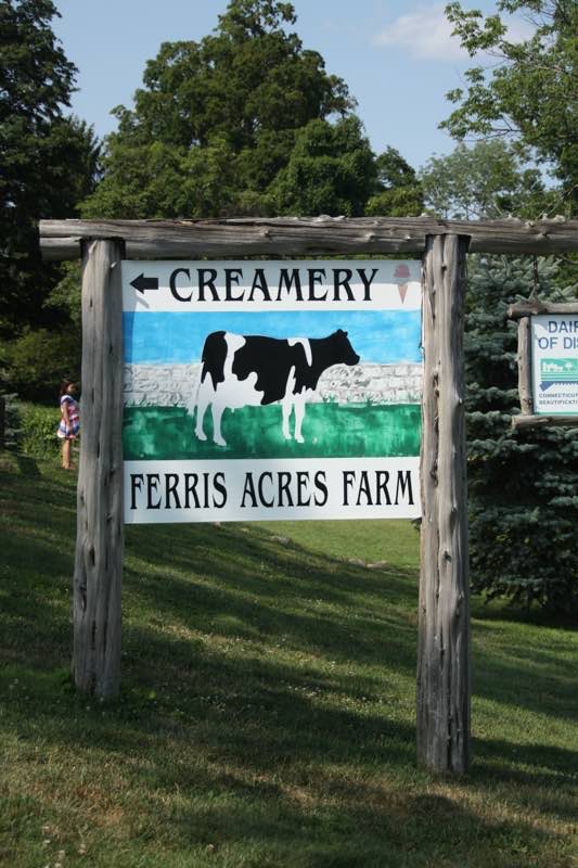 Ferris Icre Cream