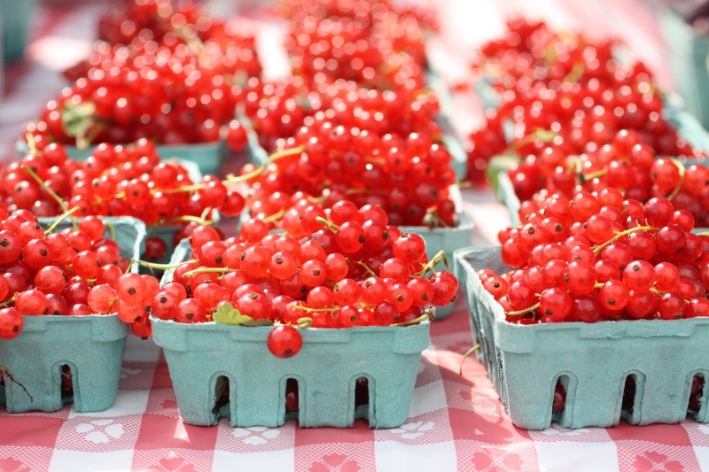 Fresh Currants